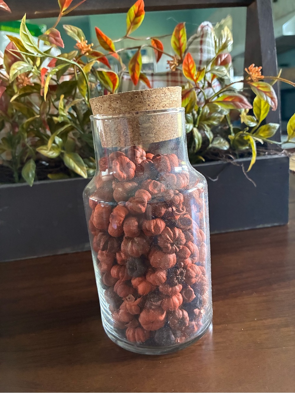 Decorative Glass Jar with Orange Mini Pumpkins and Cork Lid 7” tall euc